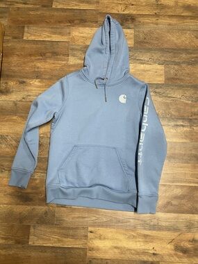 Carhartt Pullover Hoodie in Light Blue